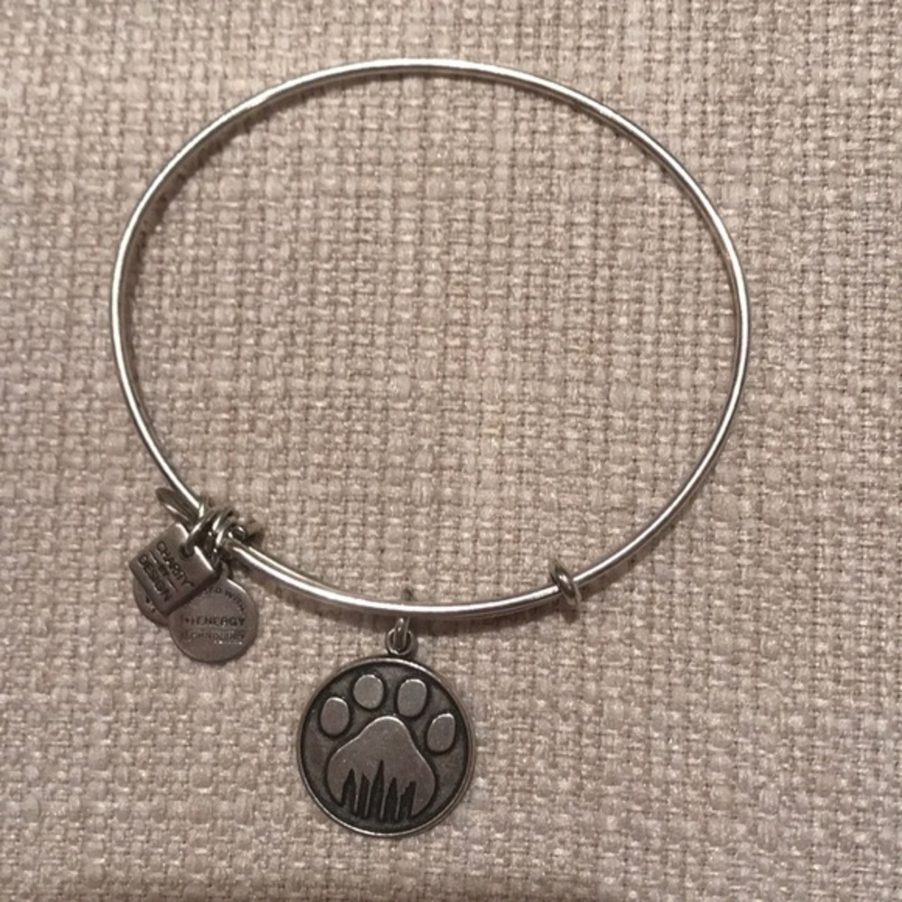 Alex and Ani tiger paw silver bracelet.
